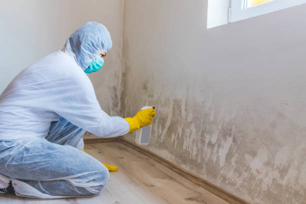 Crawl Space Mold Remediation treatment of floor joists in Huntington Station
